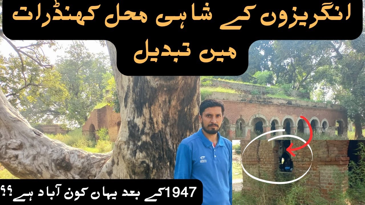 Dhoop Sari Ruins Vlog | Historical Place Vlog | Gujrat History | Pakistan Dinga