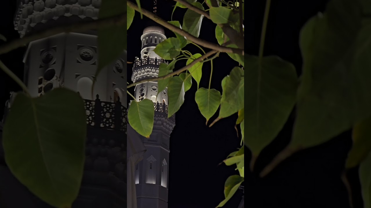 دعاء القنوت لــ الشيخ د. #عبدالرحمن_المغامسي الليلة الخامسة والعشرون من رمضان 1447هـ 
