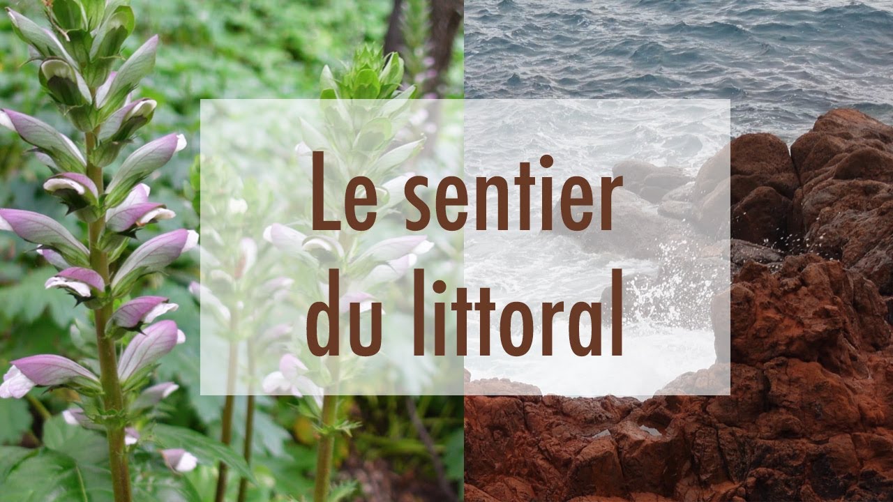 Bienvenue - Découverte du sentier du littoral à Saint-Raphaël - première vidéo de la chaîne