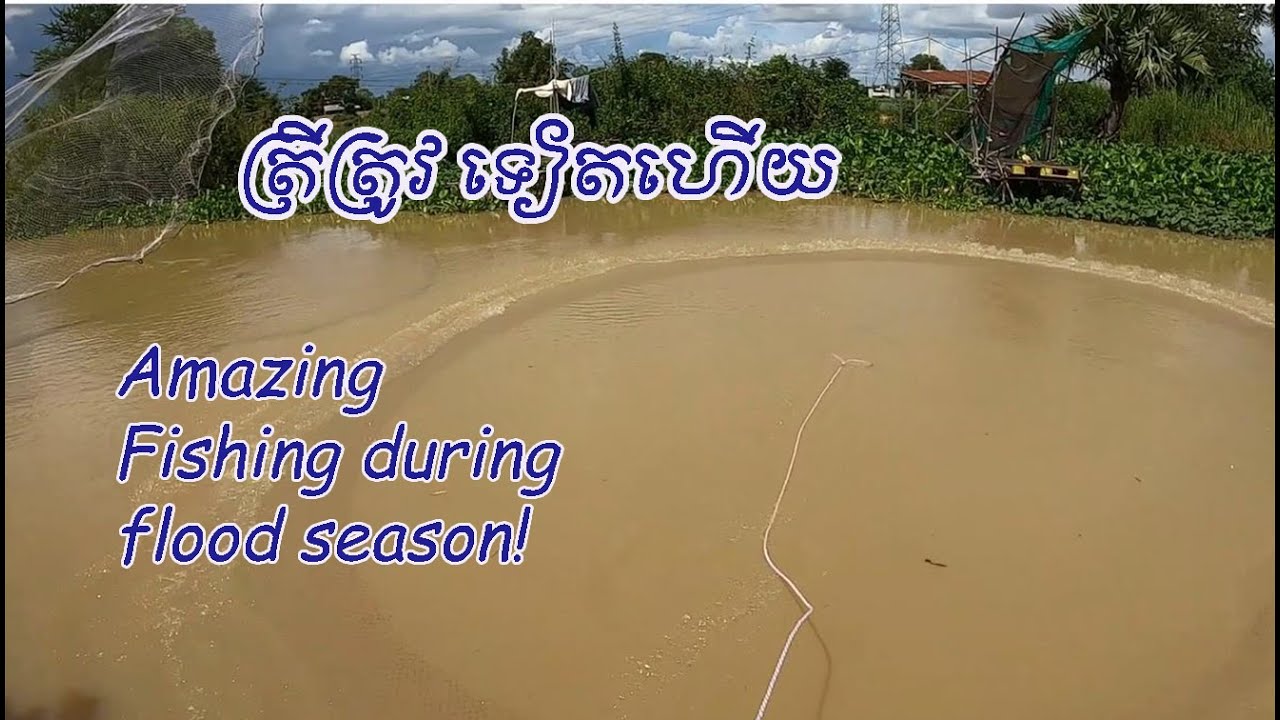 Amazing CAst NEt Fishing #251