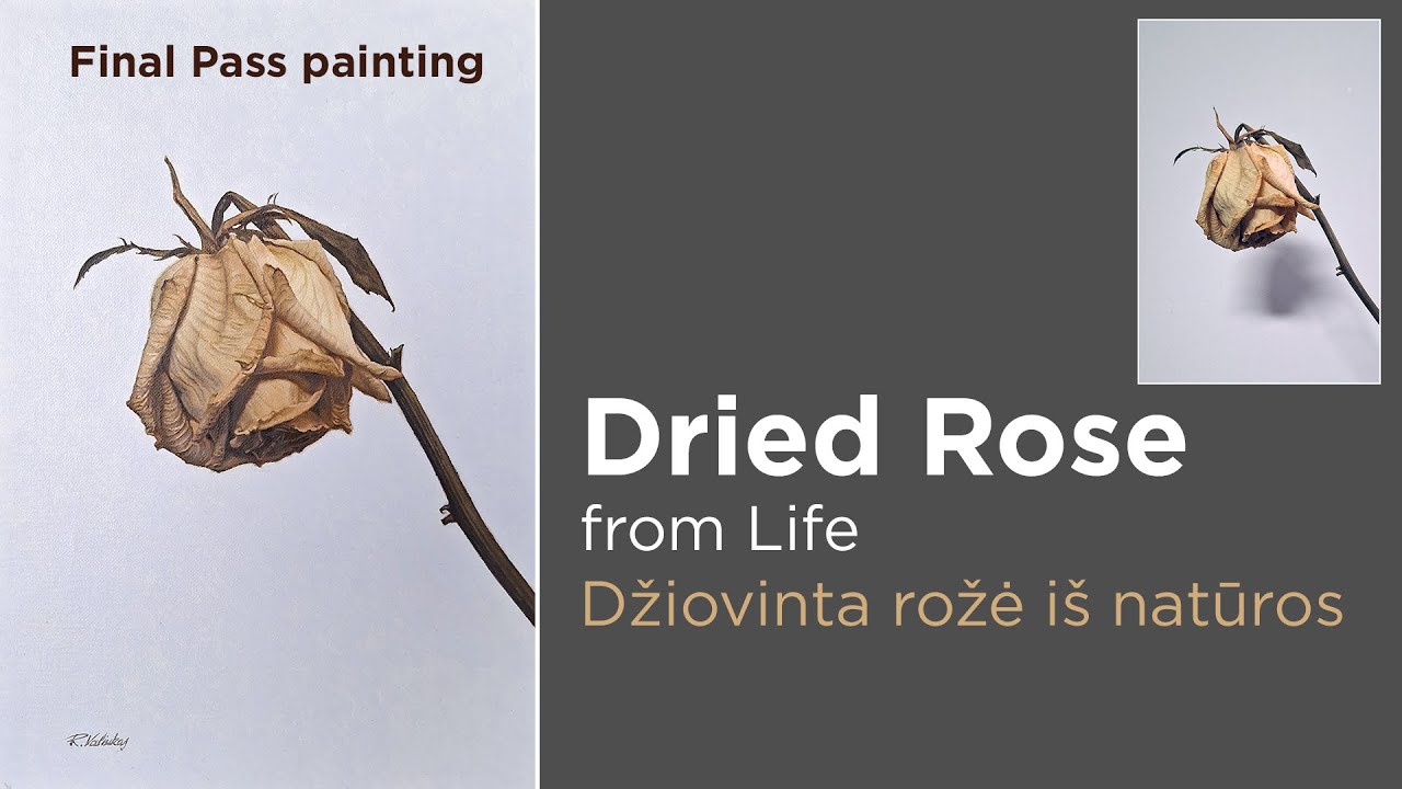 Dried Rose from Life – Final Pass | Džiovinta rožė iš natūros –Baigiamasis etapas