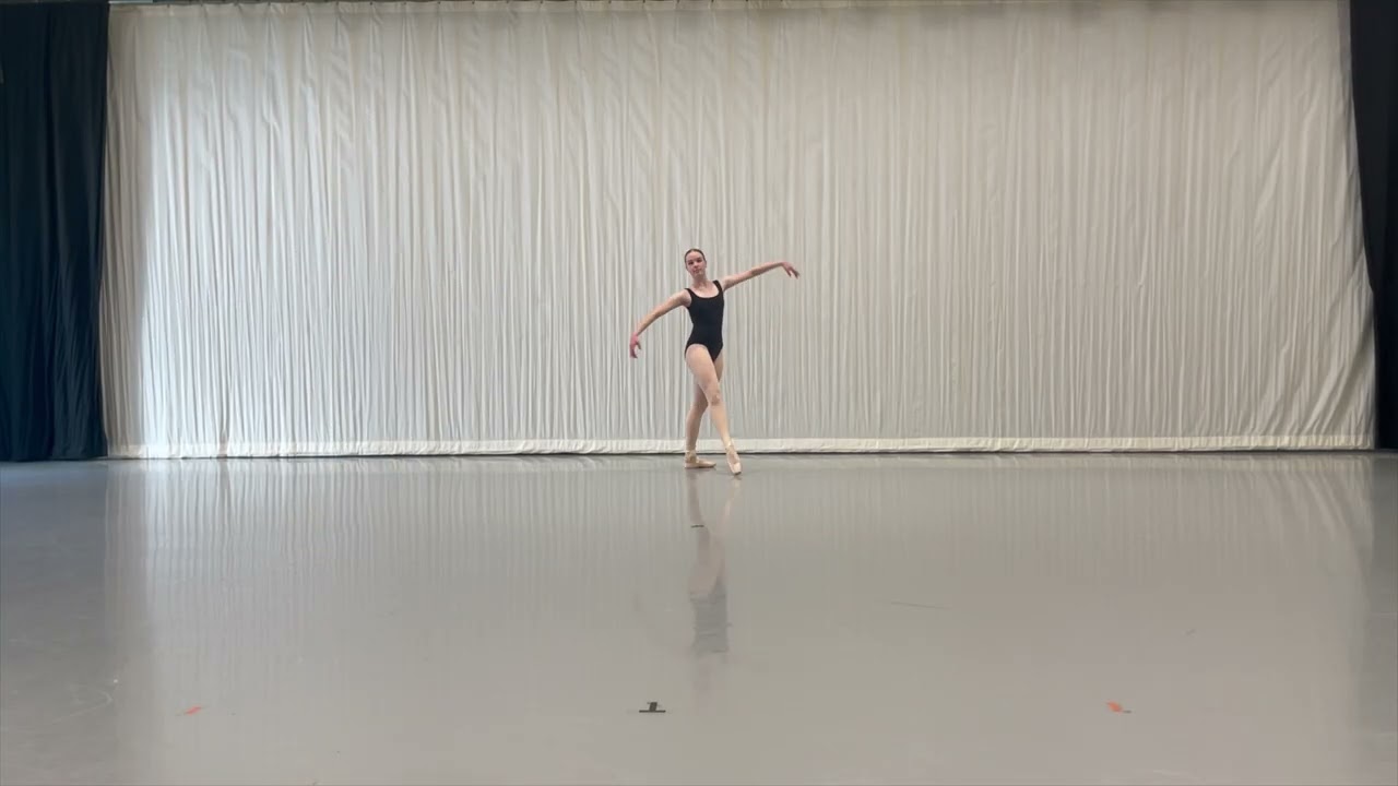 The Washington Ballet Classwork