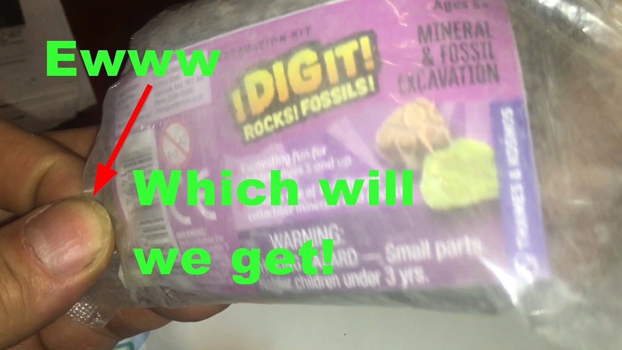 Поиск сокровищ с iDIGit: раскопки окаменелостей и минералов в домашних условиях.