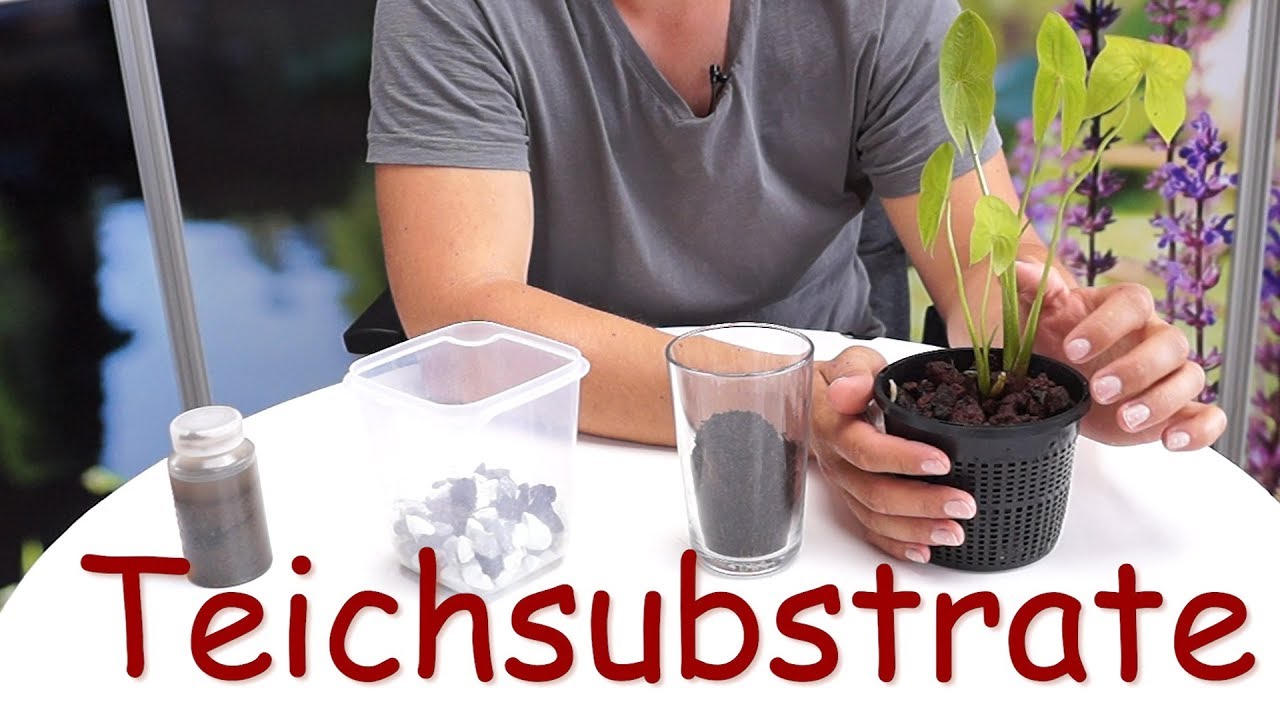 Pflanzensubstrate / Teichsubstrate Blog 25