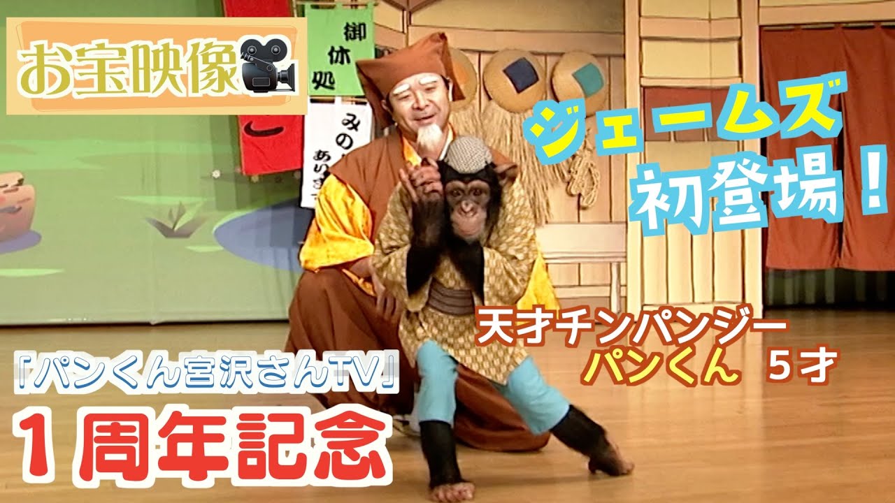 YouTube開設 １周年記念❗️【天才！チンパンジーパンくん&ジェームズ】お宝映像「みやざわ劇場:水戸黄門」大公開🎥モンキーふーちゃん🐒タイムマシン出動🛸あの時君は若かった（フサオマキザル）