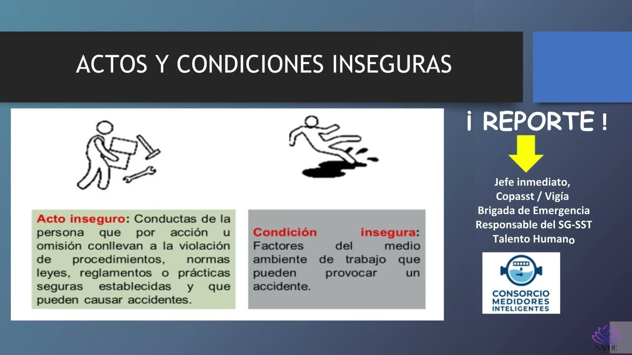 INDUCCIÓN Y REINDUCCIÓN CONSORCIO MEDIDORES INTELIGENTES