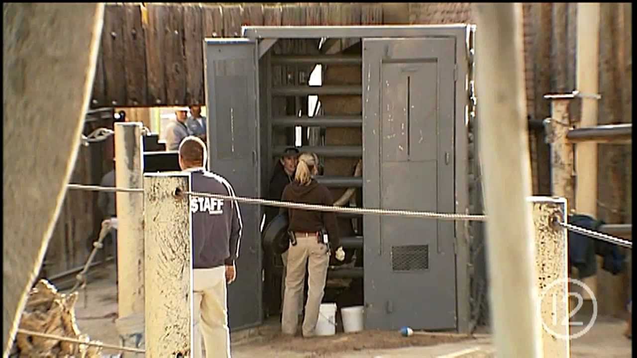Reid Park Zoo's Connie and Shaba