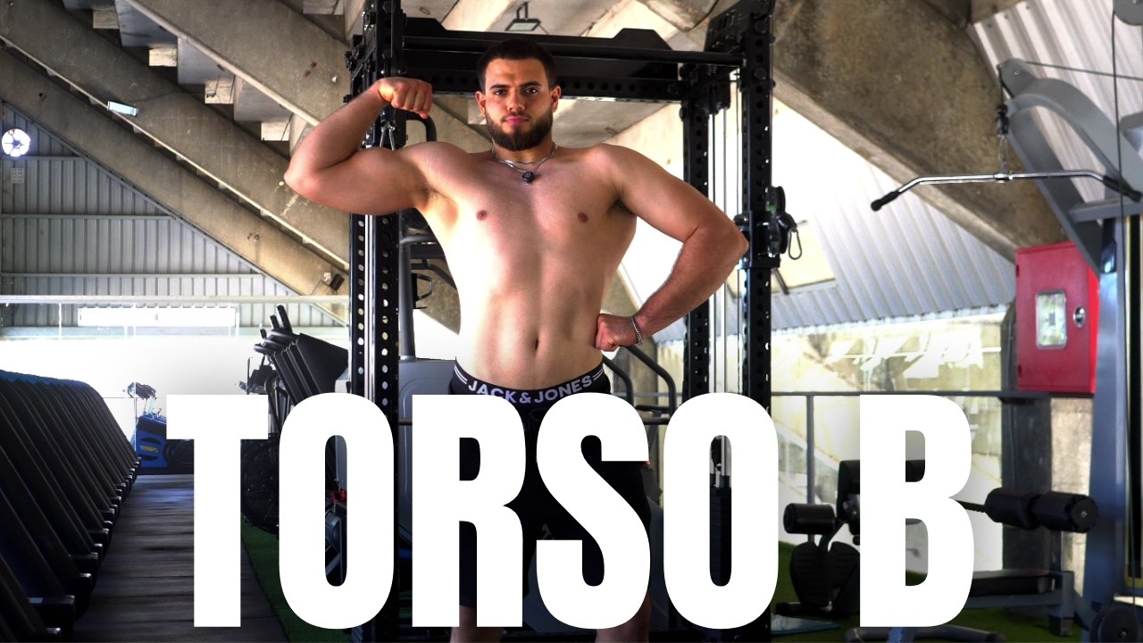 TORSO B EXPLICADA