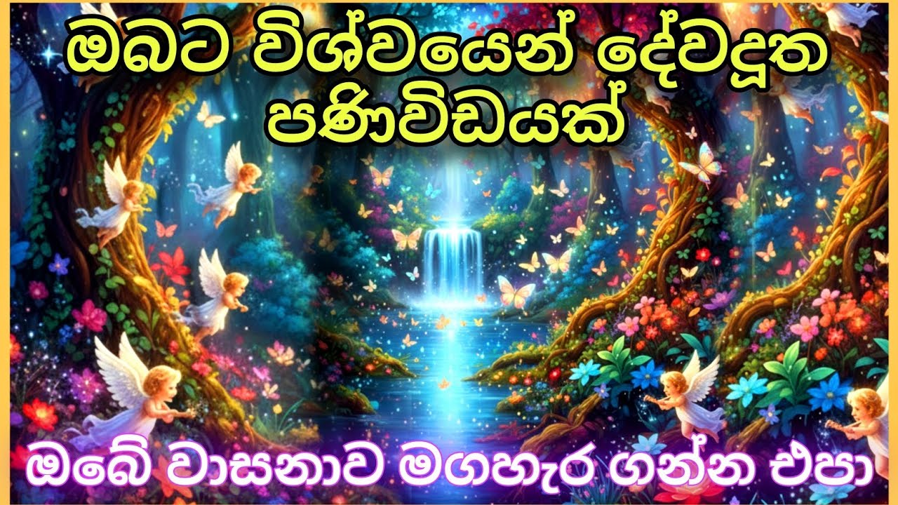 දේවදූත පණිවිඩයක් ඔබට  Pick a Card Reading | #tarotcardreading #sinhala #astrology #222 #444 #999