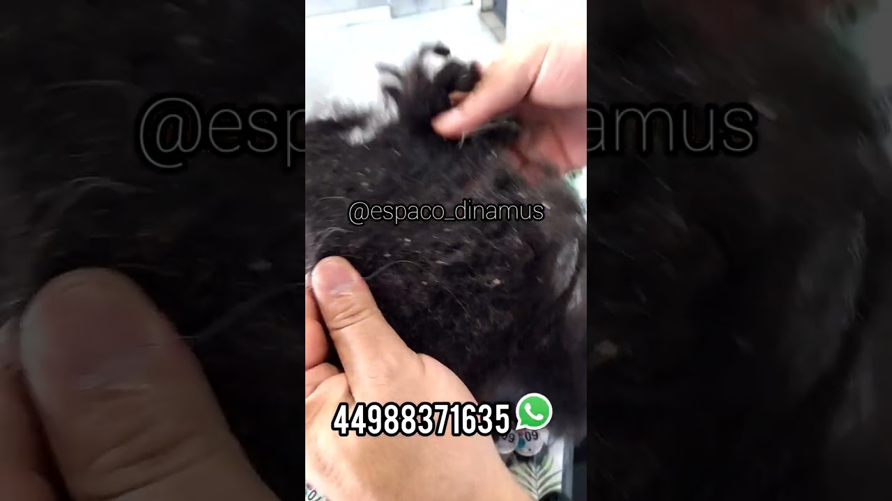 Cabelo crespo embaraçado, cliente não conseguiu desembaraçar, veja que transformação 😍