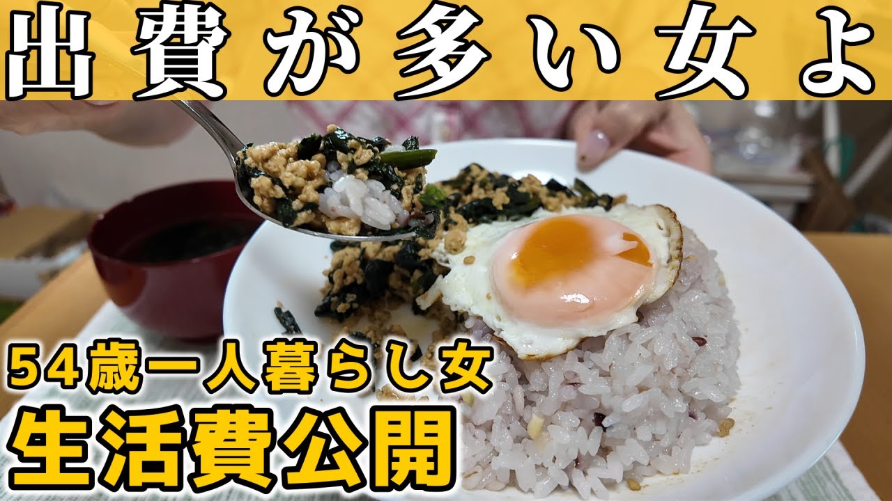 【生活費公開】年収199万ひとり女の家計簿｜お泊りしたい話【50代独身一人暮らし】