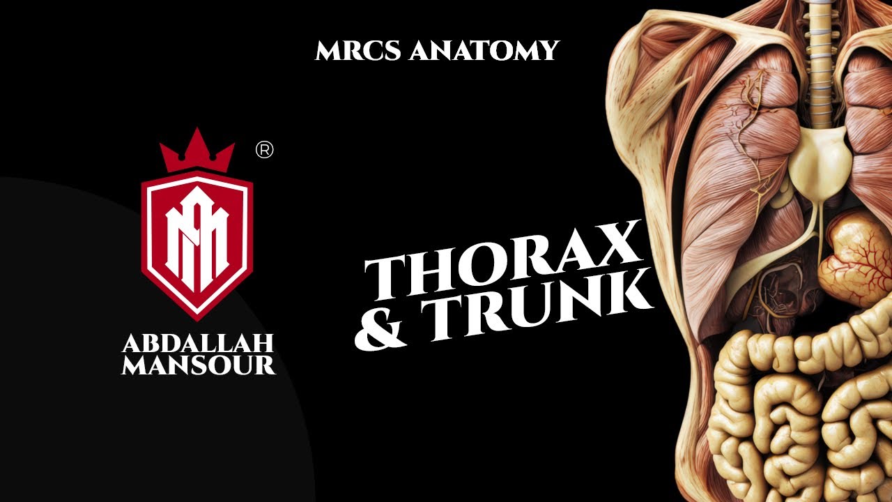 MRCS Part B| MOCK OSCE revisions, Trunk and thorax part 1