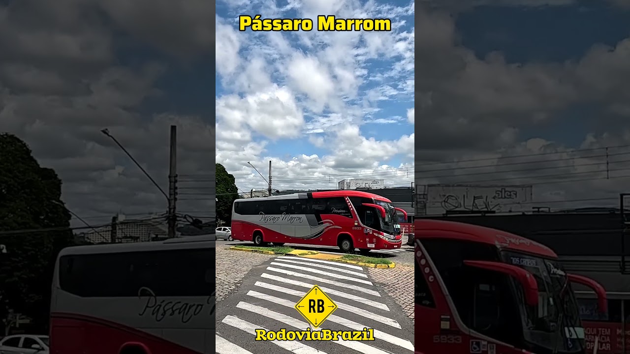 Viação Pássaro Marrom em Atibaia SP 