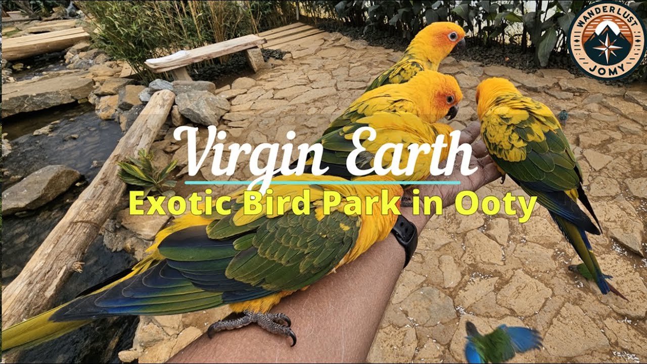 Celebrating Nature | Exploring Virgin Earth Exotic Bird Park in Ooty | Virgin Earth | Ooty | 4K