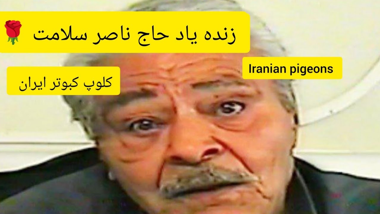 ❤️گزارش آقای علی ذکایی از زنده یاد حاج ناصر سلامت (ناصر رئیس) و iranian high flyers pigeon