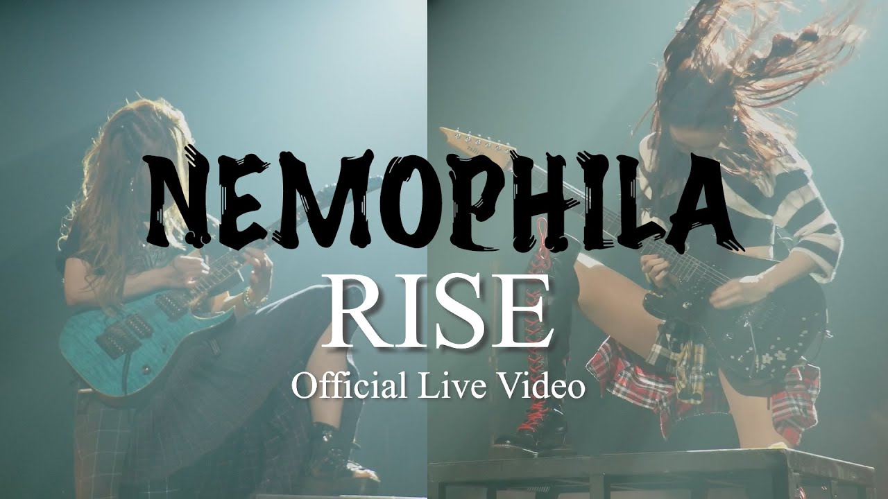 NEMOPHILA / RISE [Official Live Video]