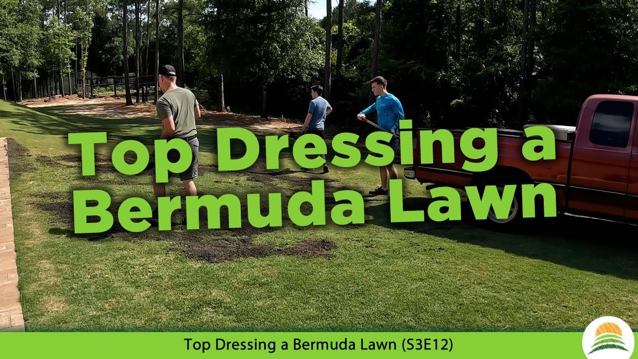 Top Dressing a Bermuda Lawn☀️ (S3E12)