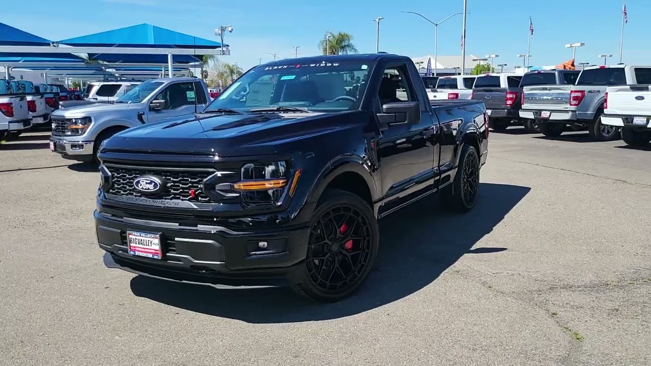 2025 Lowered Black Widow F-150 Regular Cab, does it stand out enough!?