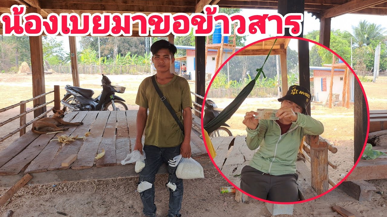 แย่แล้วน้องเบยไม่มีข้าวกินมาขอข้าวบ่าวบัว...!!