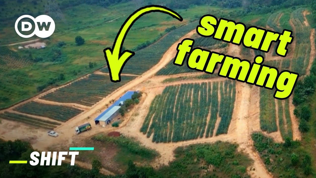 Can These Sensors Make for Better Food? | GreenTech
