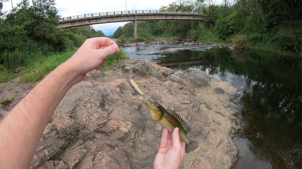 PESCARIA RÁPIDA DE JACUNDÁ NO RIO CUBATÃO
