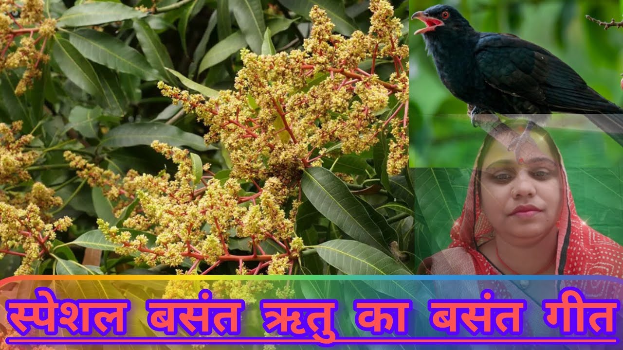 #बसंत गीत #सुन सखिया रे मोरी बतिया रे #बहला बसंती बजरिया# गीत