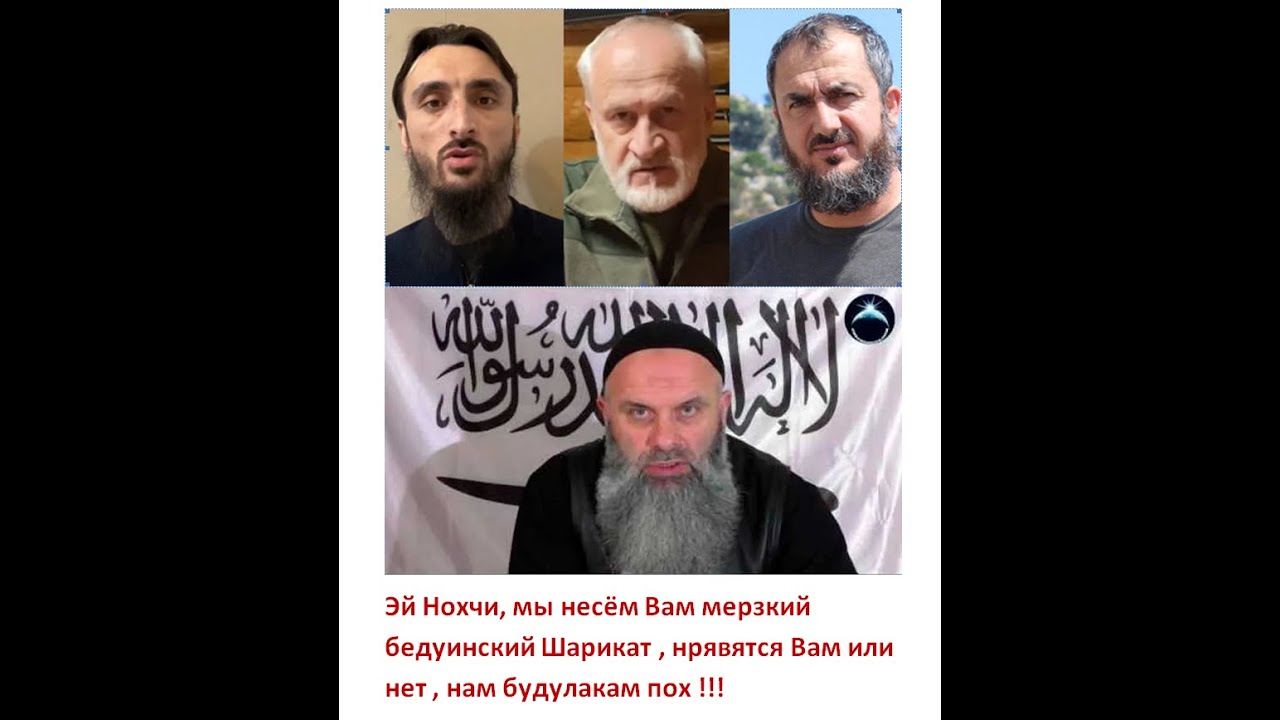 Ответ будулаку Абу Хамзе ,прячущему в Турции, на его  бредовые высказ-ния в адрес Чеченского народа