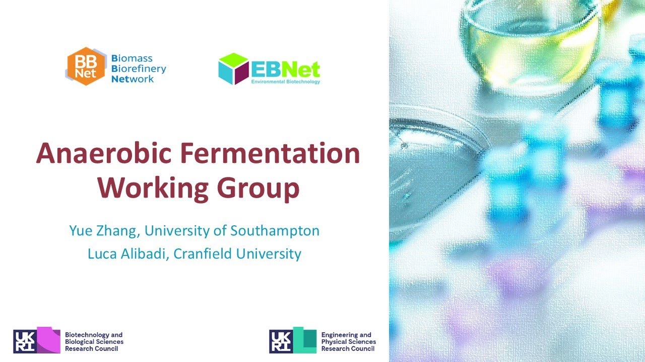 BBNet conference - Anaerobic Fermentation WG