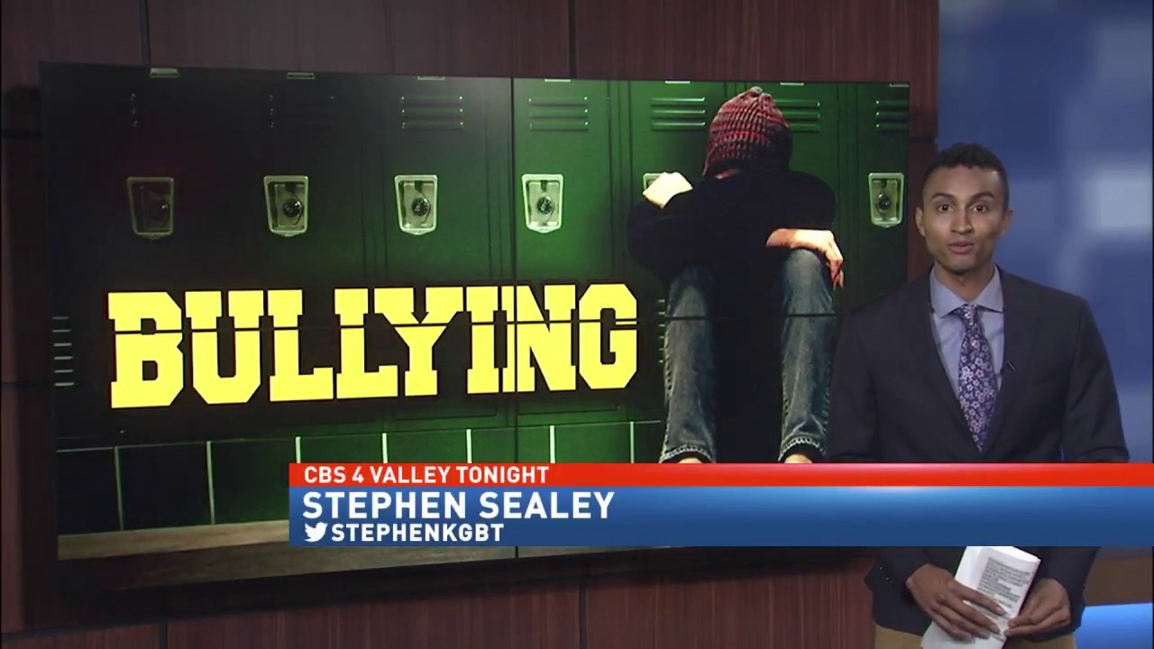 Learning to stop bullies