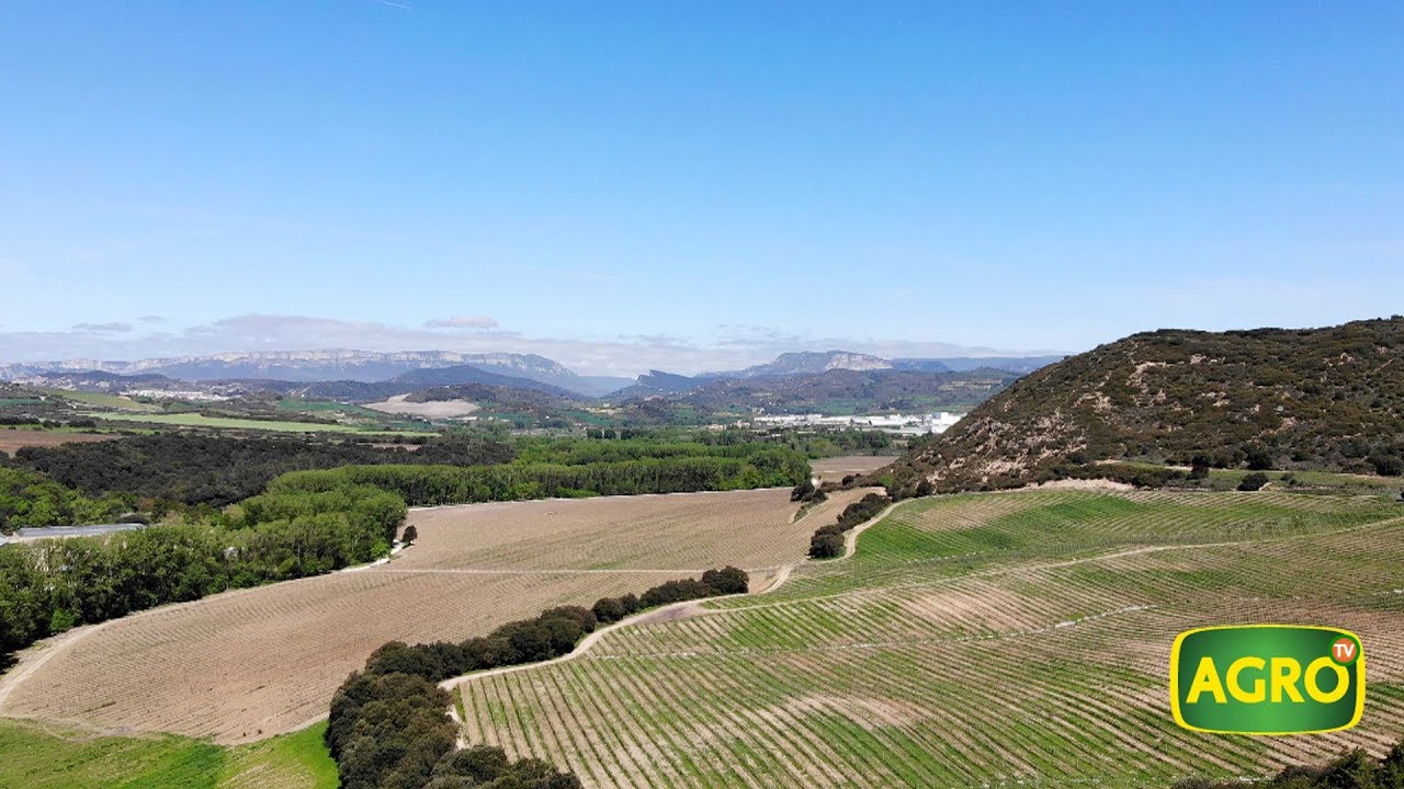 AgroTV en España: Conocé como se hacen los Vinos de Pago de alta calidad (#776 2018-06-16)