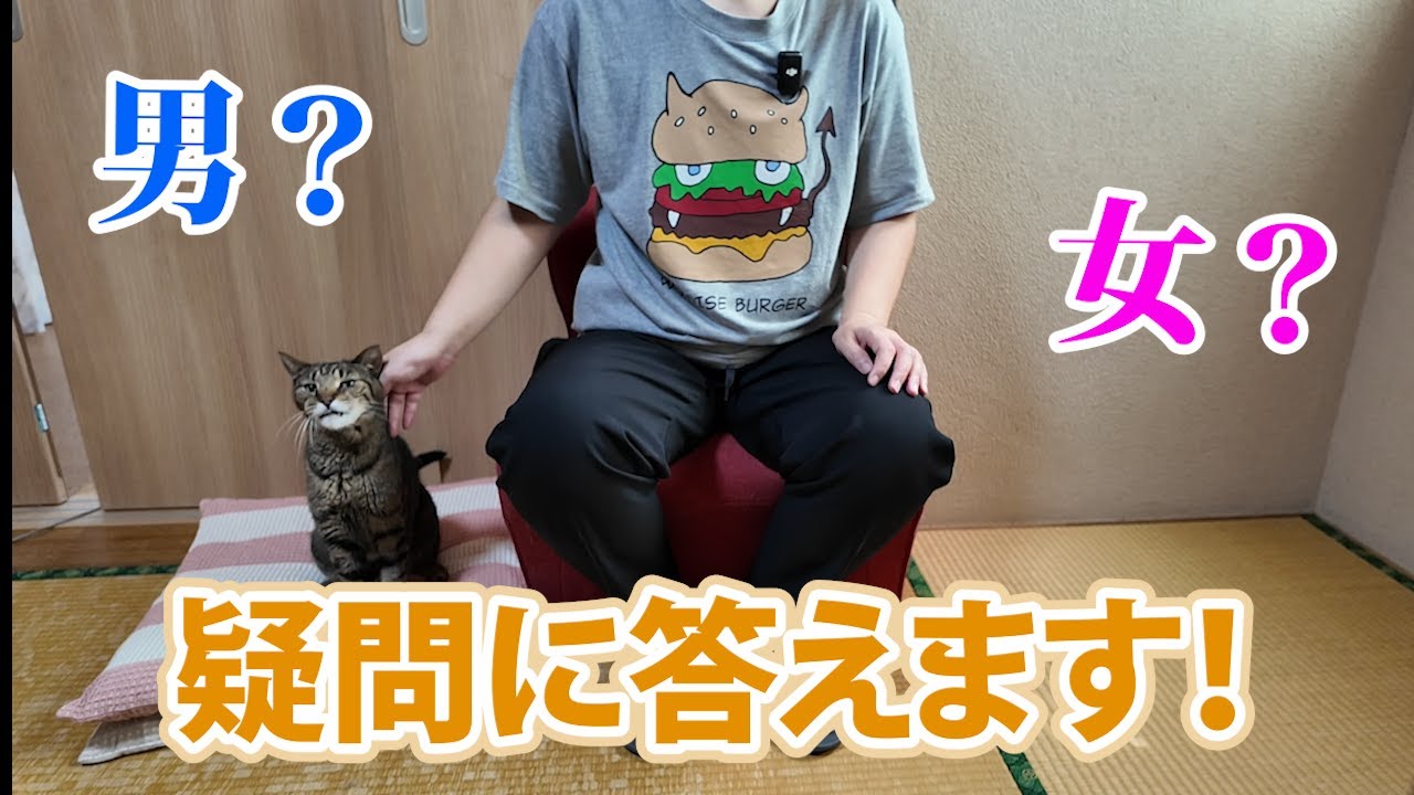 【質問に答えます！】私の性別について正直に話します！
