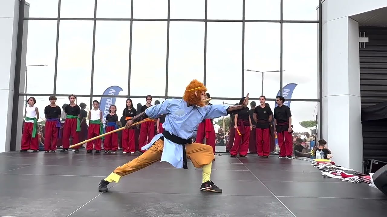 Sun Wukong 🐵 le roi singe 👑 kung fu, Perpignan