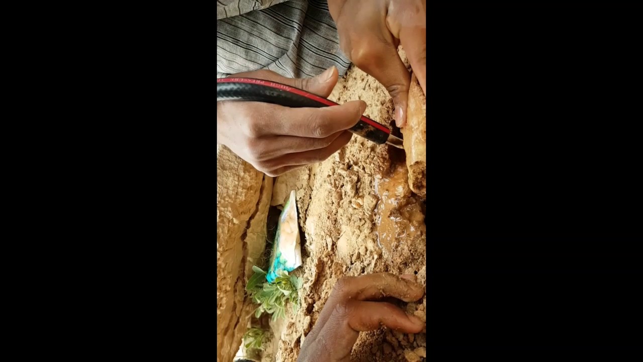 صيد ضبان 1438 انا وابن عمي ابو عبدالرحمن