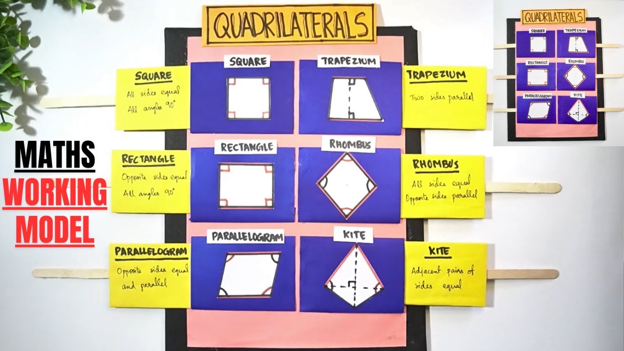 Types of Quadrilaterals TLM | Maths working model | Maths project | Maths TLM | Math project ideas