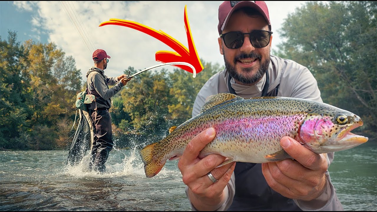 Как я победил эпического скунса (и спас сессию)