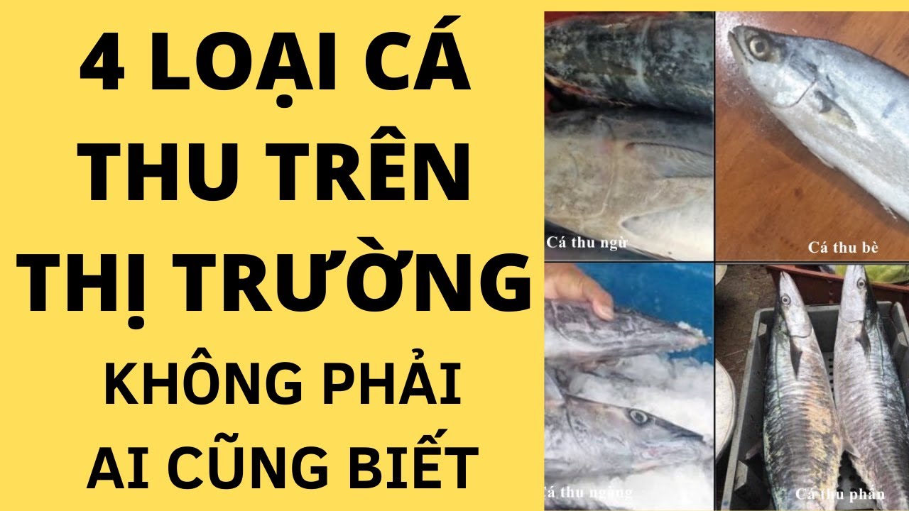 🐋 4 LOẠI C&Aacute; THU TR&Ecirc;N THỊ TRƯỜNG KH&Ocirc;NG PHẢI AI CŨNG BIẾT 🐋