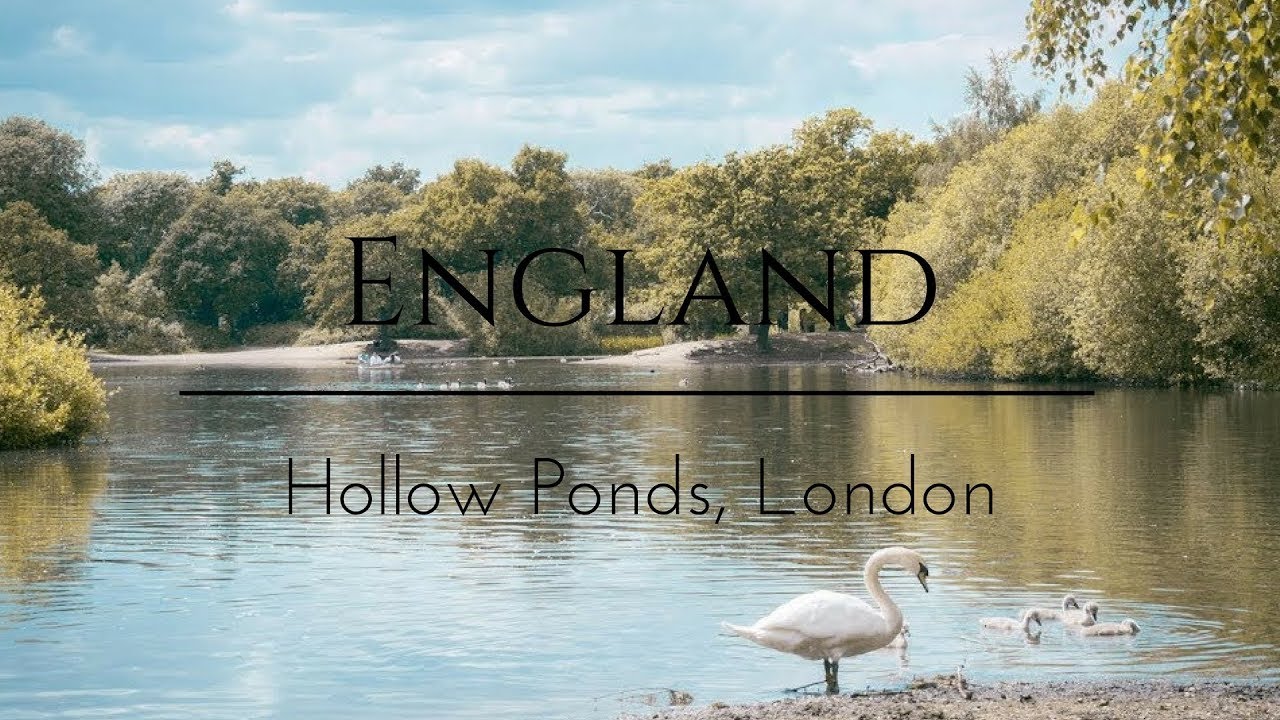 Exploring Forrests And Lakes In London - Hollow Ponds Walthamstow