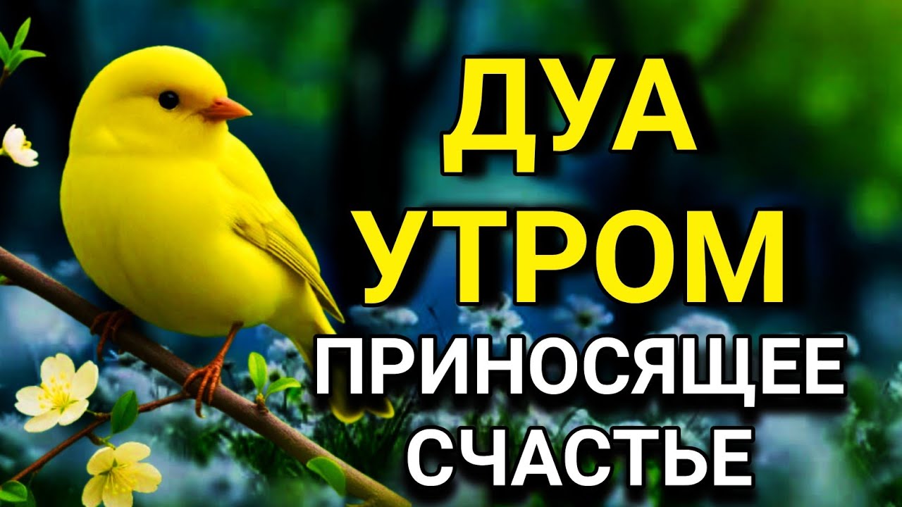 💞🔑 ДУА УТРОМ САМЫЙ МОЩНЫЙ СТАРТ ДНЯ! 💖🌟🤲