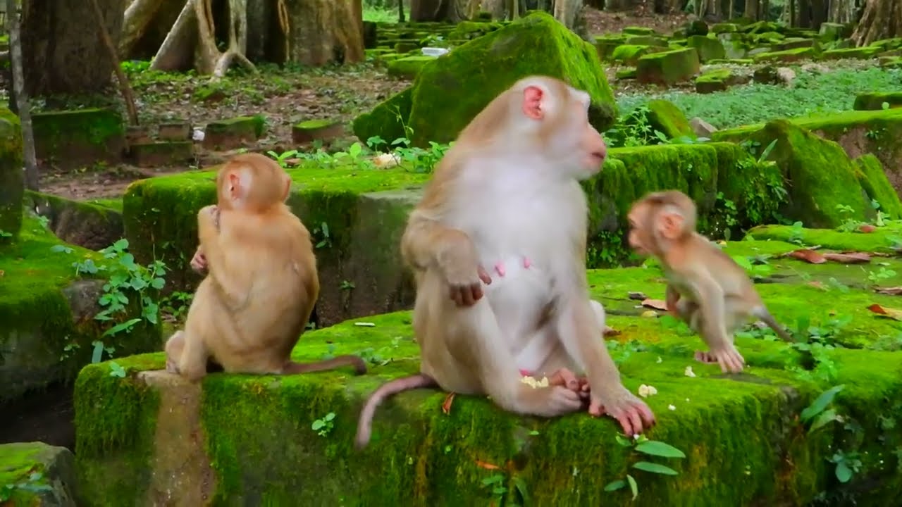 Mom Gently Encourages Her Baby’s First Steps