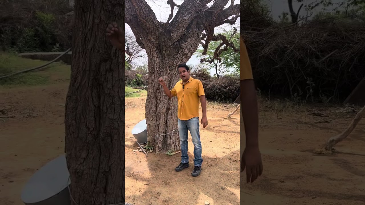 हरित क्रांति के दुष्प्रभाव।। परम्परागत कृषि के सामने चुनौती बनी यह खाद्यान क्रांति #jitusir