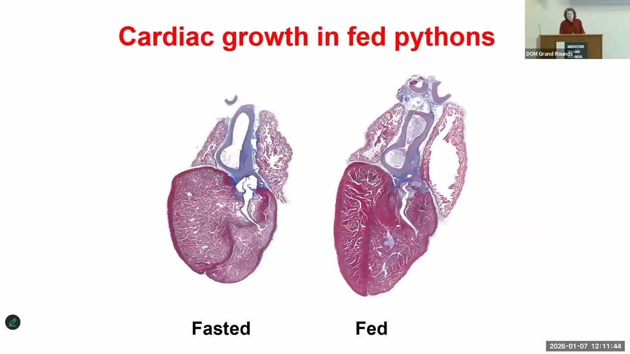 Больничные обходы отделения внутренней медицины |