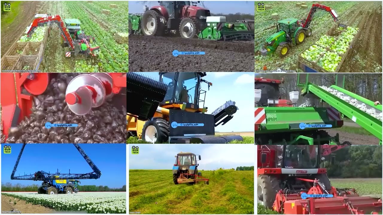 المقدمة كورس زراعة البرسيم الحجازي في الأراضي الصحراوية تحت نظام الري المحوري من الصفر الي الإنتاج