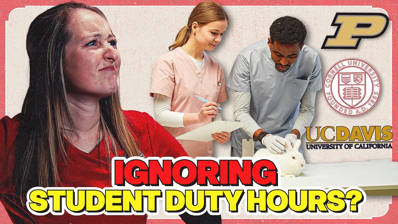 Are Vet Schools Ignoring Student Duty Hours? | The Veterinary Roundtable - EP116