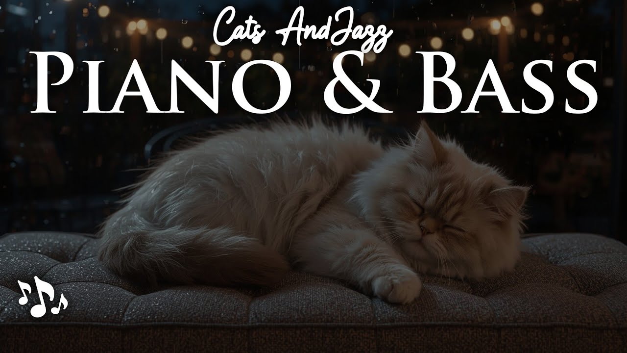 10h Calm Jazz to Sleep ☾ Minimal Piano & Bass