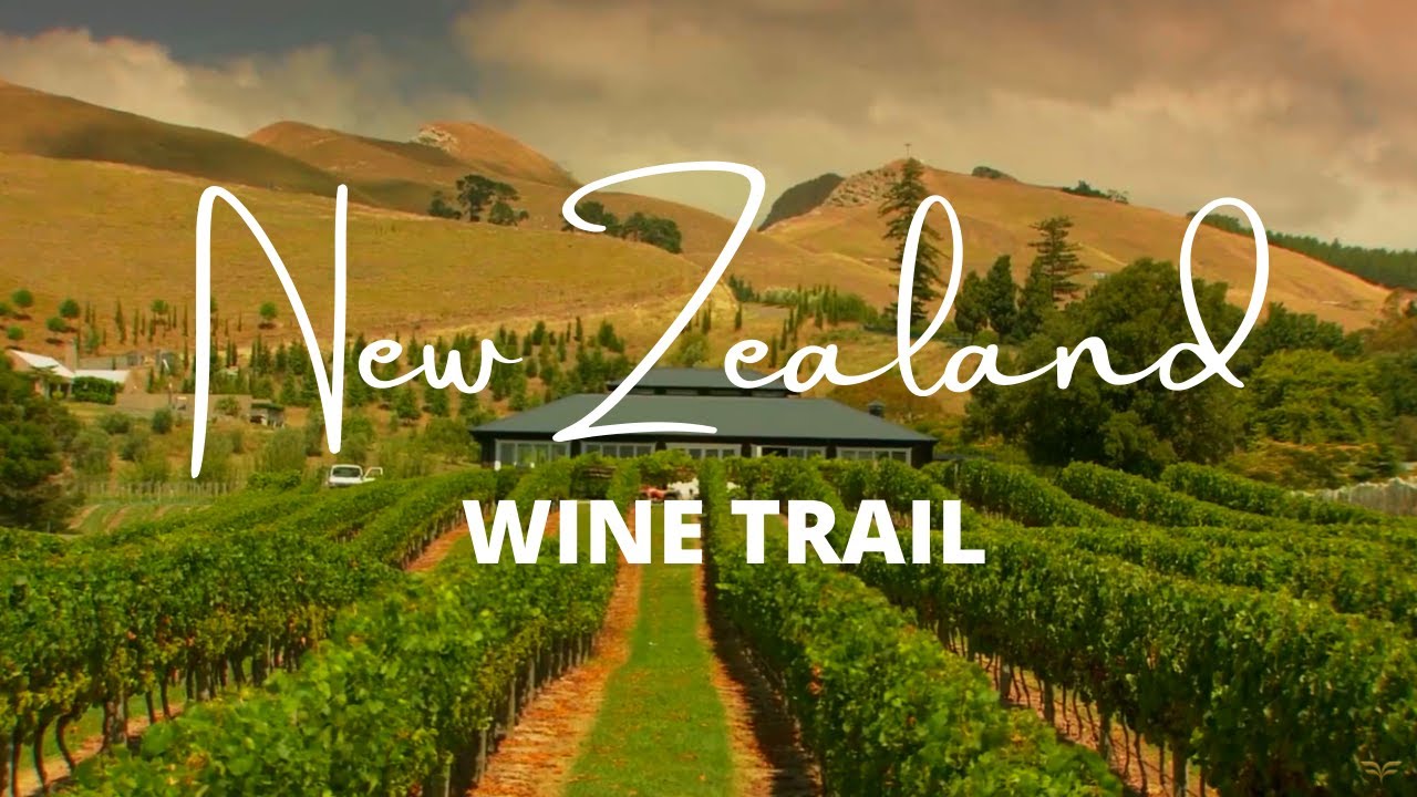 New Zealand 's Finest Wineries—Wine Tasting and Vineyard Tours