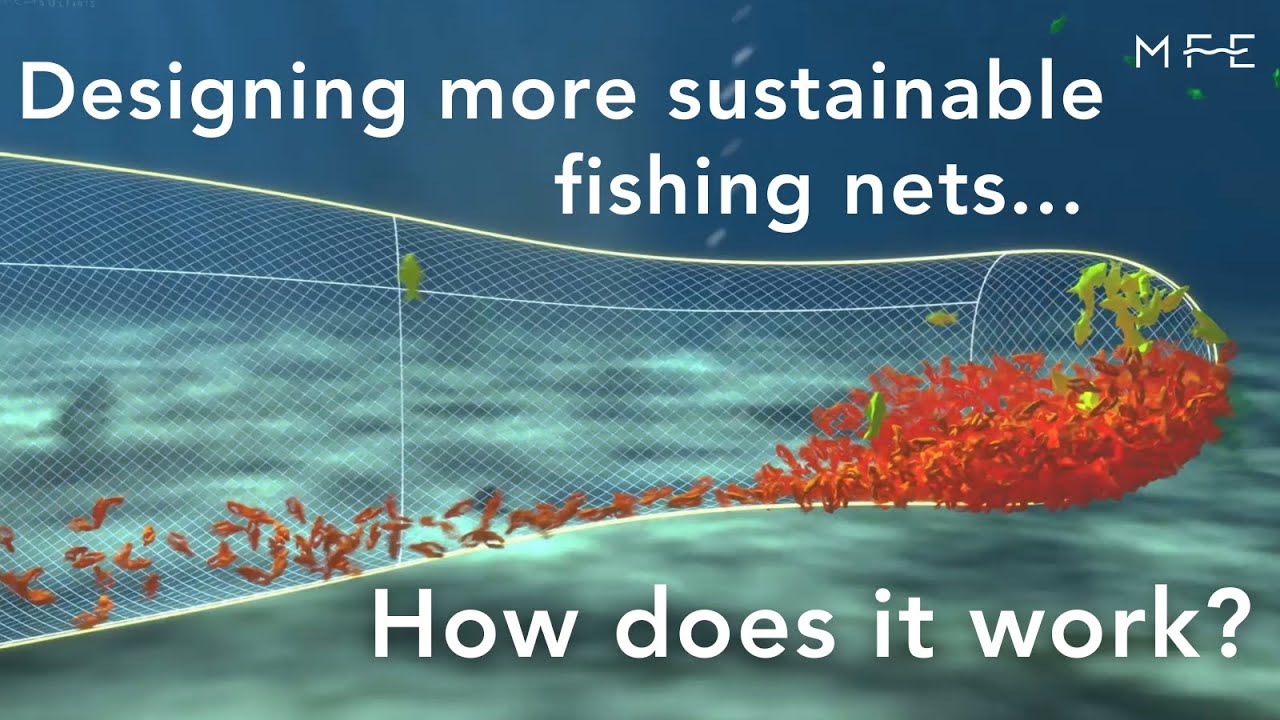 Trialing New Prawn Fishing Gear to Reduce Bycatch (Part 1)
