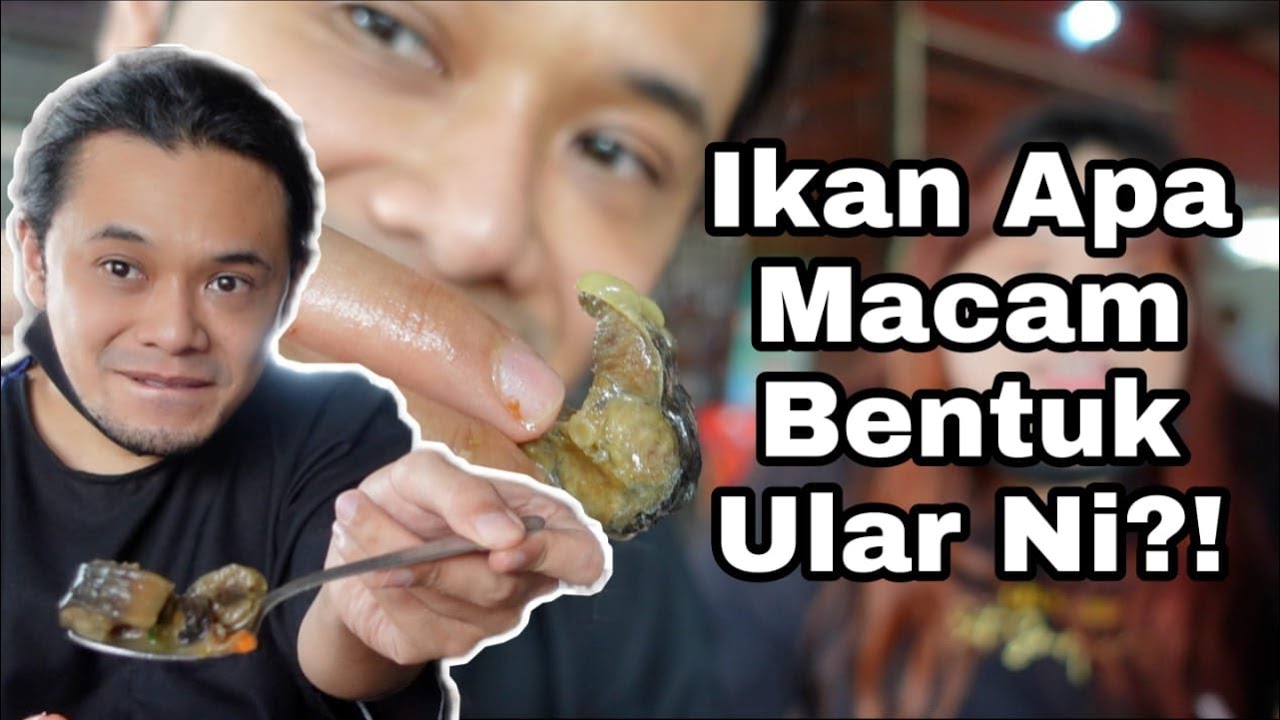 Mukbang Angker: Pergi Sekinchan Makan Makanan Eksotik; Sup Ikan Apa Yang Macam Ada Ular Tu!
