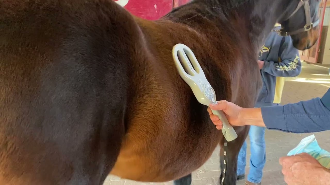 UPODs® - A drug and hormone-free  estrus suppression for mares