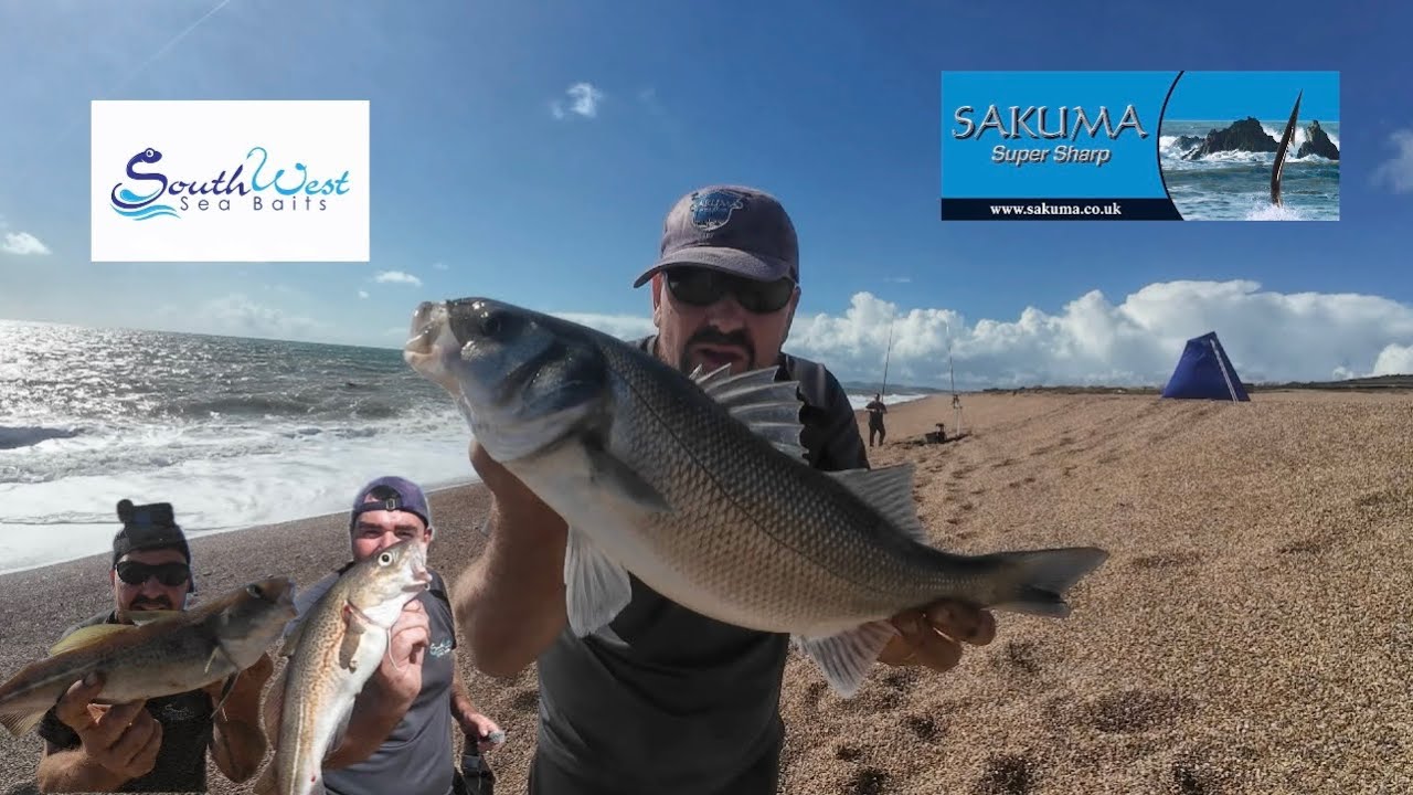 Back on the Codling (and bass) on Chesil beach 😬 