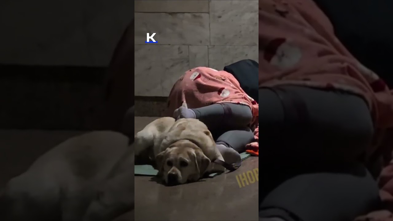 People take shelter in the Kyiv metro